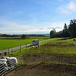 Ribelhof * Altstätten