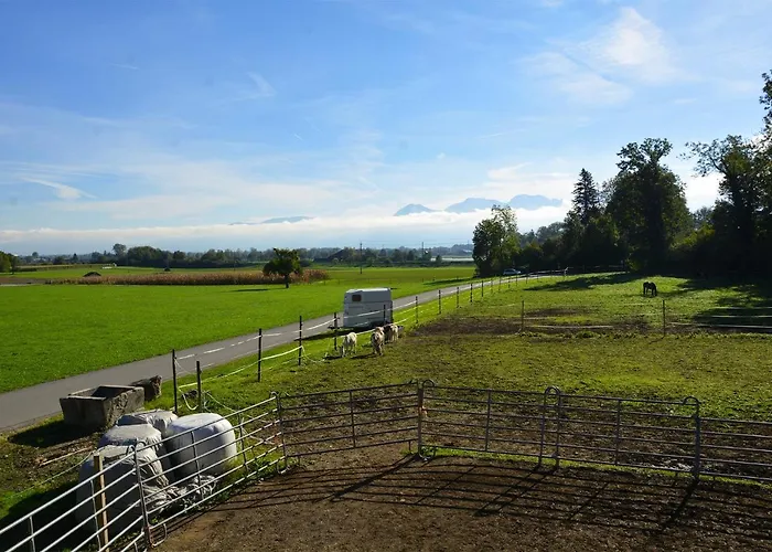 Ribelhof * Altstätten